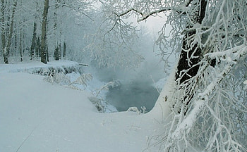 Beautiful Winter, winter, beautiful, nature, snow HD wallpaper
