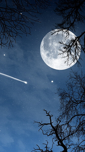 Moon, Beautiful Night, Nature HD phone wallpaper