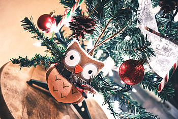 Holidays, New Year, Owl, Christmas, Toy HD wallpaper