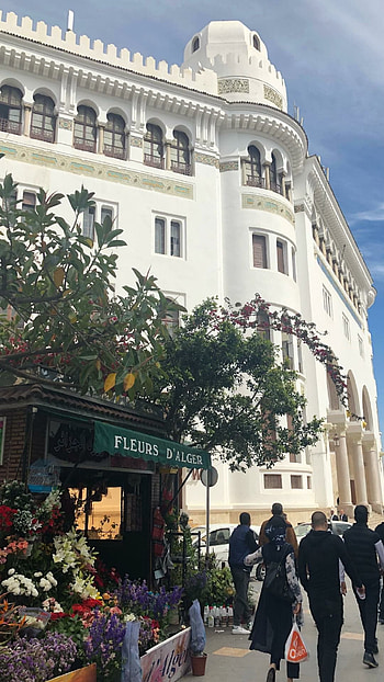Algiers Central Post Office, Algeria HD phone wallpaper