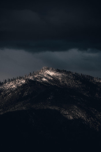 Nature, Trees, Mountain, Vertex, Top, Dark, Darkness HD phone wallpaper