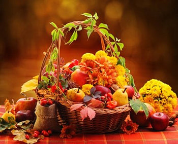 Autumn still life, Flowers, Still life, Fruits, Autumn HD wallpaper