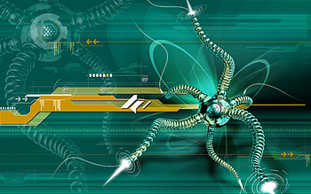 Web Spider, tecnology, information, spider, green HD wallpaper