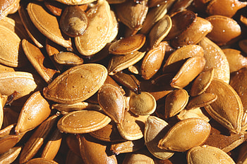 Toasted, Pumpkin Seeds HD wallpaper