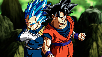 Vegeta, Goku HD wallpaper
