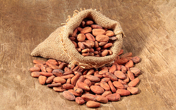 Nuts , resolution, Healthy snack, Nutritional value HD wallpaper