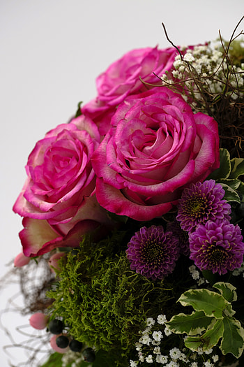 Pink roses, decorative, flowers, bloom HD phone wallpaper
