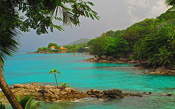 Landscape, Nature, Sea, Palms, Rocky Shore, Stony Coast HD wallpaper