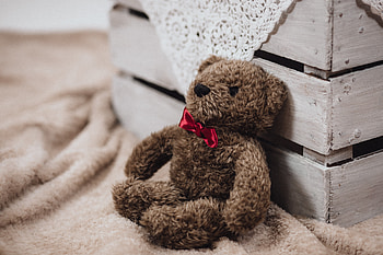 Teddy Bear, Miscellanea, Miscellaneous, Toy, Bow HD wallpaper