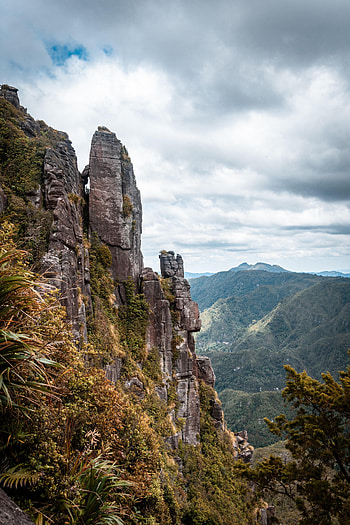Plants, Nature, Trees, Mountains, Rocks, Slope HD phone wallpaper