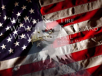 Eagle Flag, eagle, usa HD wallpaper
