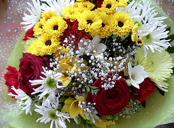 Flowers, Roses, Chrysanthemum, Carnations, Registration, Typography, Bouquet, Gypsophilus, Gipsophile HD wallpaper
