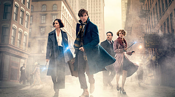 David Yates, Fantastic Beasts 3, Production update, Future of the Force HD wallpaper
