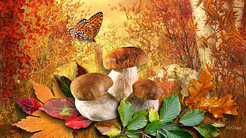 When Autumn Calls, firefox persona, fall, grass, mushrooms, orange, toadstools, season, leaves, butterfly, trees, autumn HD wallpaper