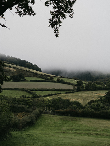Landscape, Nature, Trees, Bush, Fog, Hills HD phone wallpaper