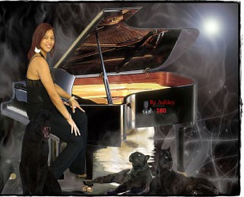 Pianoist, white rose, paino, fatima roelofse, panther HD wallpaper