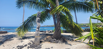 Pu'uhonua o Honaunau (Place of Refuge), Islands, Sand, Trees, Beach, Palm, Tropical, Puuhonua, Water, Statue, Hawaii, Sky HD wallpaper