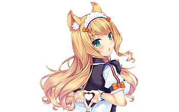 Nekopara, Anime, Maple (Nekopara) HD wallpaper