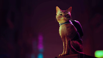 Stray game, Mysterious adventure, Enigmatic atmosphere, Urban stray HD wallpaper