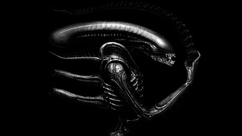 Alien (1979) concept art by H.R. Giger HD wallpaper
