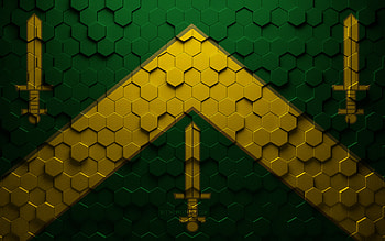 Flag of Campina Grande, honeycomb art, Campina Grande hexagons flag, Campina Grande, 3d hexagons art, Campina Grande flag HD wallpaper