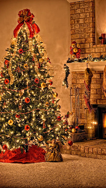 Christmas Home, Tree HD phone wallpaper