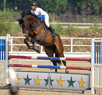 Pranay Khare, Equestrian Sports HD wallpaper