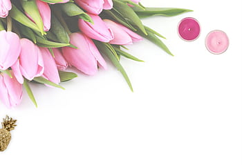 Charming pink tulip bouquet with scented candles in a stylish flat lay arrangement. HD wallpaper