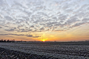 Nature, Sky, Fog, Field, Frost, Hoarfrost, r HD wallpaper
