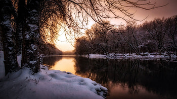 River, nature, tree, sunset HD wallpaper