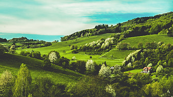 Landscape, grass, nature, valley HD wallpaper