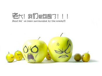 Surrounded BOSS..., pices, boss, apple, angry, surrounded, cut HD wallpaper
