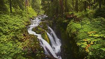 Nature, Rivers, Leaves, Waterfall, Forest, Break, Precipice, Greens, Flow, Moss, Stream, Fencing, Enclosure HD wallpaper