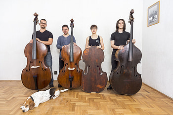 Gellert basses maker, Double bass, Restorer master, Bassist's companion HD wallpaper