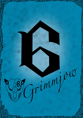 Grimmjow espada, kurosaki, ichigo, bleach, anime, jaguar HD phone wallpaper