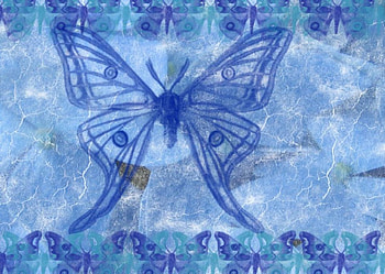Pastel Blue, large butterfly, butterfly edges HD wallpaper