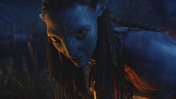 Neytiri bust, Life-size sculpture, Avatar fan collectible, Detailed craftsmanship HD wallpaper