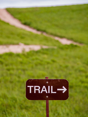 Grass, Arrow, Words, Inscription, Pointer, Word, Track, Trace HD phone wallpaper