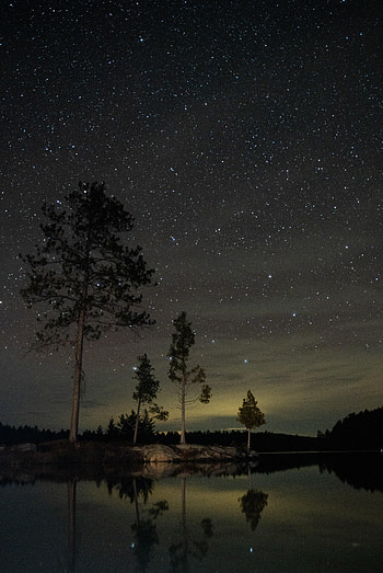 Trees, Night, Lake, Dark, Starry Sky HD phone wallpaper