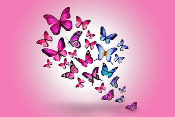 Butterflies, Background, Pink, Miscellanea, Miscellaneous, Multicolored, , Drawing, Flight HD wallpaper
