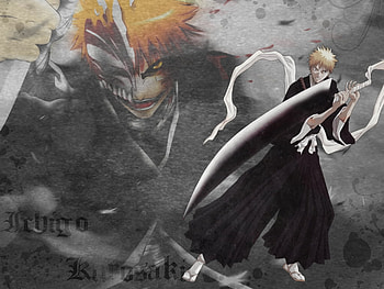 Ichigo, bleach, anime, hollow HD wallpaper