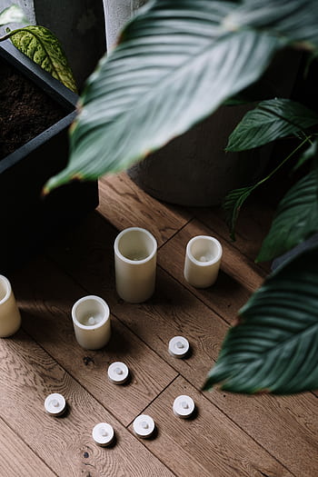 A serene indoor scene featuring candles and lush green leaves on a wooden floor. HD phone wallpaper