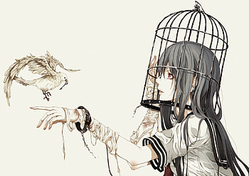 I want to be like you, anime, bird, pasare, girl, manga, cage, bouno satoshi HD wallpaper