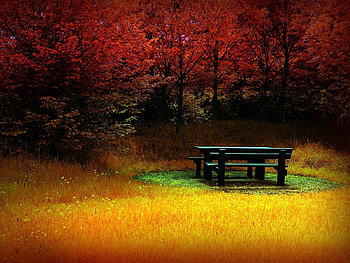Landscape, Trees, Autumn, Art HD wallpaper