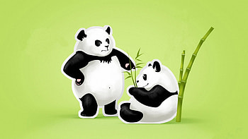 panda, couple, threat, quarrel, green, black, white HD wallpaper