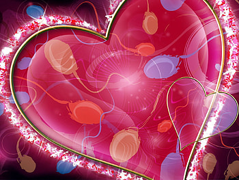 Pink, Love, Patterns, Stains, Spots, Heart HD wallpaper