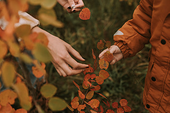 Autumn, Leaves, Miscellanea, Miscellaneous, Branches, Hands, Fingers HD wallpaper