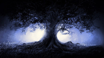 Fantasy Tree HD wallpaper