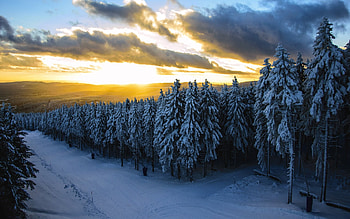 Winter Sunset, winter, snow, landscape, clouds, trees, Nature, forest, sunset HD wallpaper