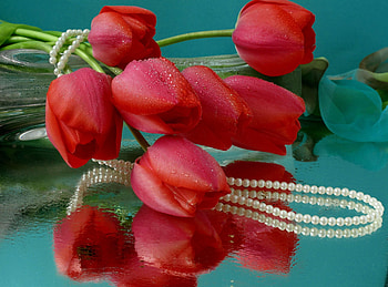 Flowers, Water, Tulips, Drops, Reflection, To Lie Down, Lie, Beads, Vase HD wallpaper